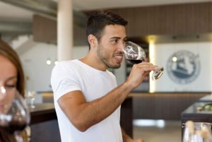 Bodegas Vi Rei: rondleiding door wijngaard en trein met wijnproeverij