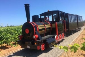 Bodegas Vi Rei: Vineyard and Train Tour with Wine Tasting