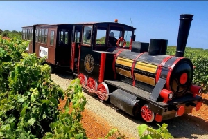 Bodegas Vi Rei: Vineyard and Train Tour with Wine Tasting