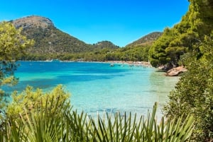 Breathtaking Formentor by Land and Sea
