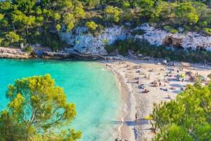 Cala Llombards o Cala Santany & Es Pontas Snorklausta ja SUPia