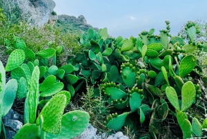 Cala Millor: 'Cavemen', cave on a mountain,fun game and hike