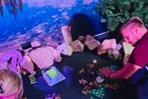 Cala Millor: FunOlympics;challenges,fun games,creative tasks