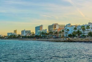 Cala Millor: Criaturas Mágicas de Cala Millor, jogo familiar