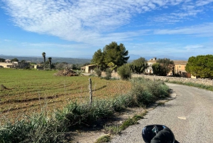 All Included Quad Bike Offroadtour to Rancho Grande with BBQ