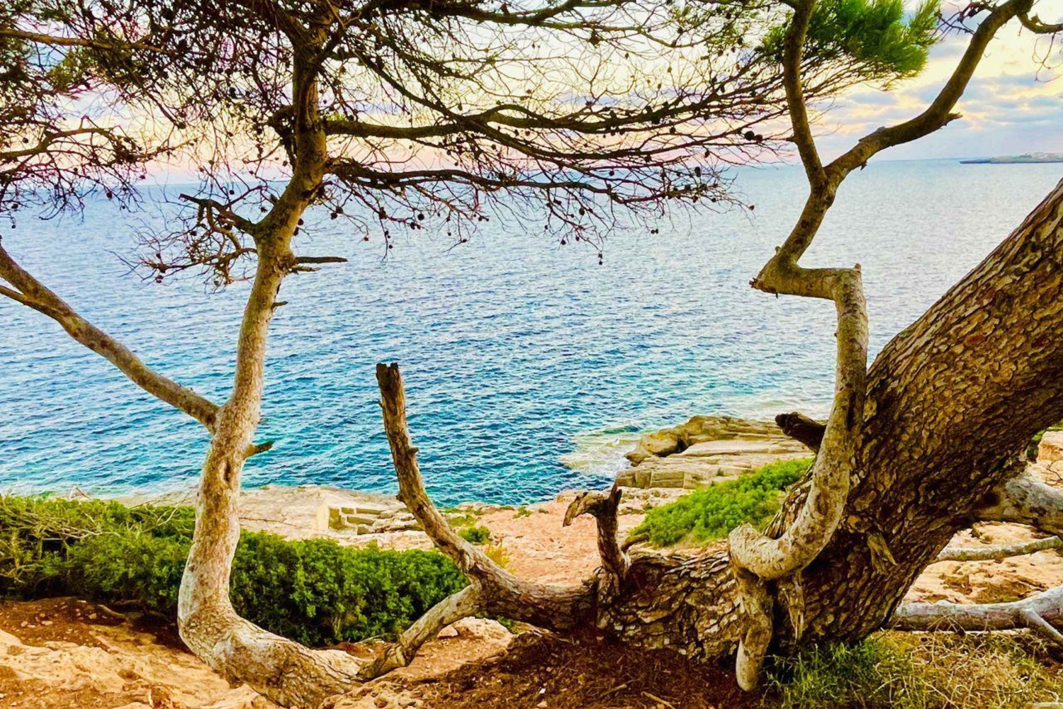 Cala Millor: real treasure hunt in natural reserve, fun walk