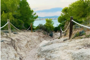 Cala Millor: real treasure hunt in natural reserve, fun walk