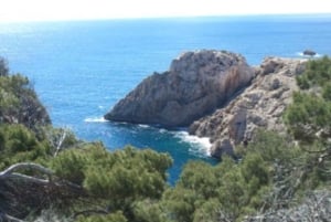 Cala Millor/Sa Coma: Wycieczka buggy z przewodnikiem