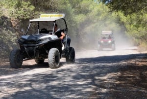 Cala Ratjada: Exclusive buggy tour also for families
