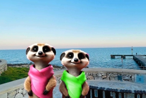 Cala Ratjada : Créatures magiques de Cala Ratjada, promenade en famille