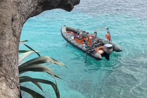 Cala Ratjada: Private Boat Charter