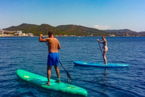 Cala Ratjada: Stand Up Paddle Day Tour