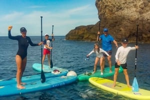 Cala Ratjada: Excursión de Stand Up Paddle por la mañana o por la tarde