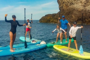 Cala Ratjada: Excursión de Stand Up Paddle por la mañana o por la tarde