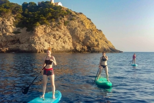 Cala Ratjada: Excursión de Stand Up Paddle por la mañana o por la tarde