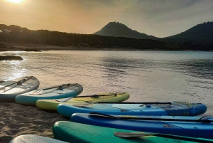 Cala Ratjada: Excursión de Stand Up Paddle por la mañana o por la tarde
