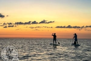 Cala Ratjada: Tour dell'alba in Stand Up Paddle