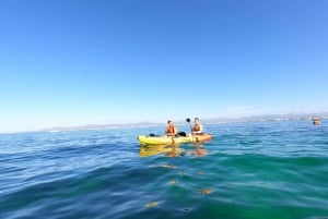 Can Pastilla: Alquiler de Kayaks