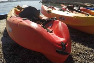 Can Pastilla : Location de kayaks