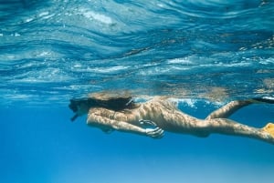 Mallorca: Visit Palma Speedboat adrenaline & snorkelling