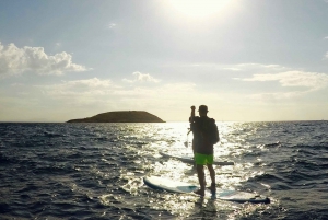 Can Pastilla : Stand-up-paddle rental