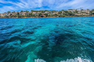 Can Picafort : 4 heures de croisière privée, plongée, baignade et scooter des mers