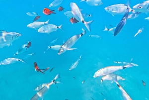 Can Picafort : 4 heures de croisière privée, plongée, baignade et scooter des mers