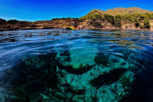 Can Picafort : 4 heures de croisière privée, plongée, baignade et scooter des mers