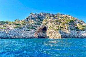 Can Picafort : 4 heures de croisière privée, plongée, baignade et scooter des mers