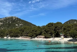 Can Picafort: Boat trips along the north coast of Mallorca