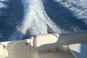 Privat båt Vip resa