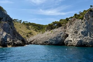 Can Picafort: Boat trips along the north coast of Mallorca
