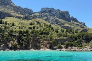 Can Picafort: Boat trips along the north coast of Mallorca
