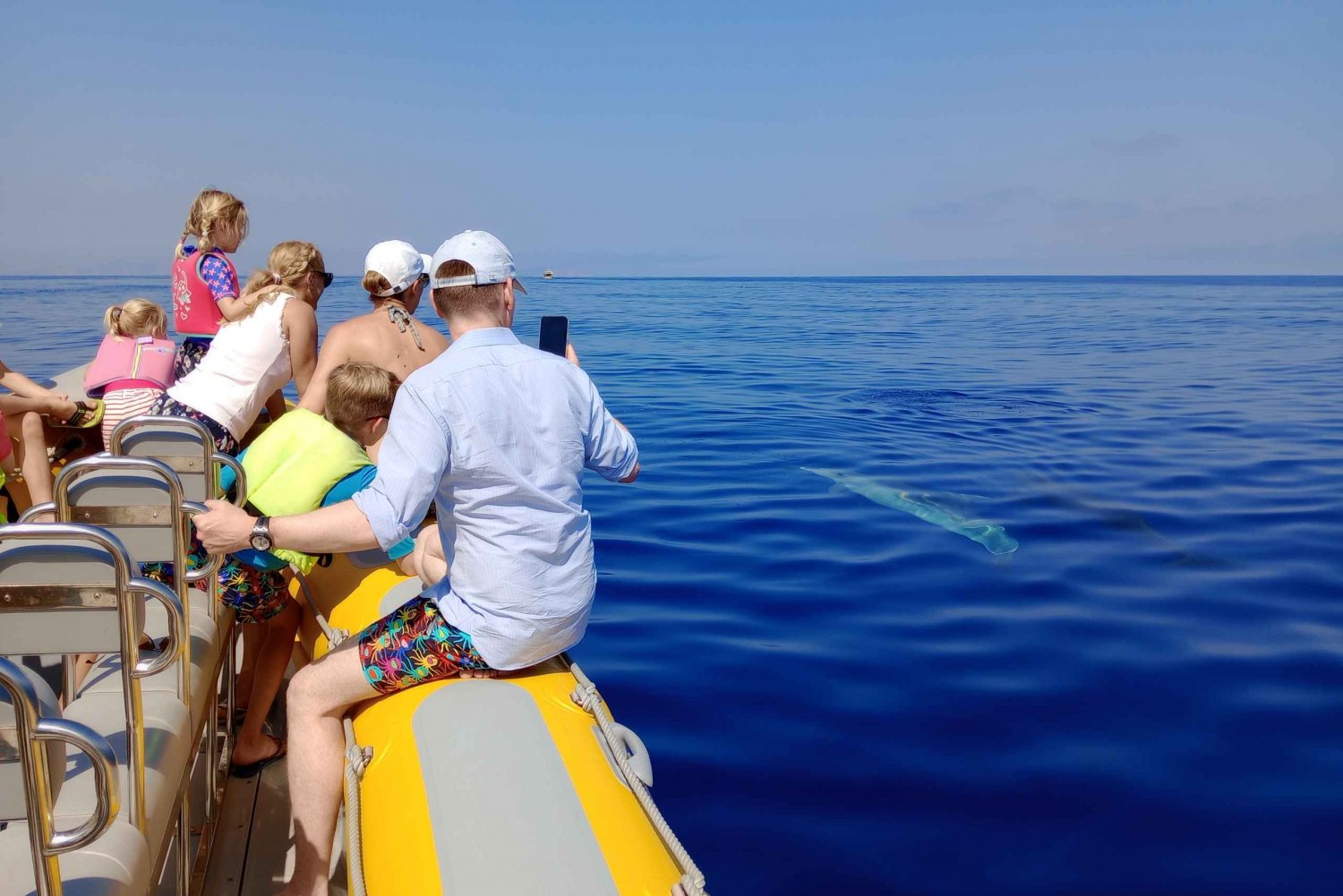 Can Picafort: Dolphin Watching Boat Trip
