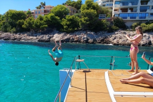 CATAMARAN ECO EXPERIENCE in Palma Bay