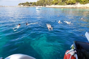 CATAMARAN ECO EXPERIENCE in Palma Bay