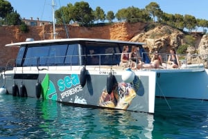 CATAMARAN ECO EXPERIENCE in Palma Bay