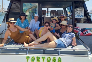 CATAMARAN ECO EXPERIENCE in Palma Bay