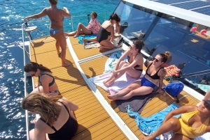 CATAMARAN ECO EXPERIENCE in Palma Bay