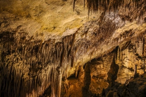 Drachs huler: Indgang, musikkoncert og sejltur
