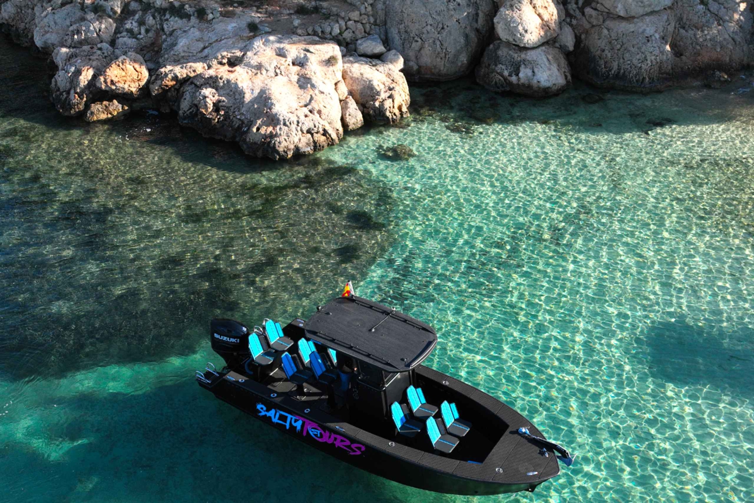 チャーターツアー：シュノーケリングとパドルサーフィン付きパルマ湾ボートツアー