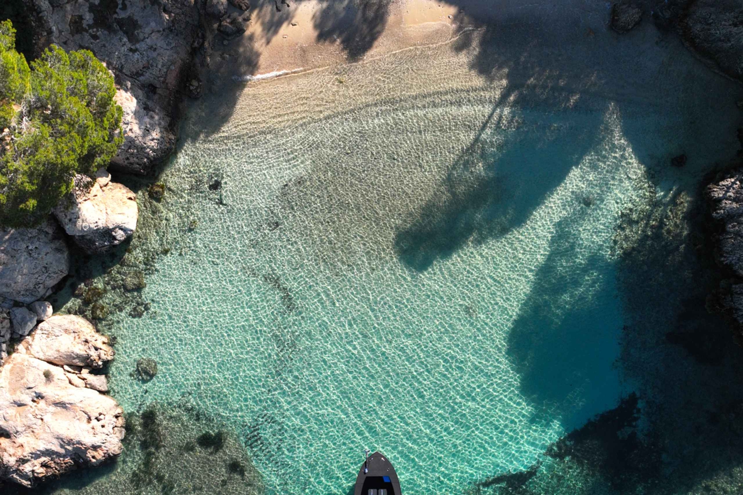 チャーターツアー：シュノーケリングとパドルサーフィン付きパルマ湾ボートツアー