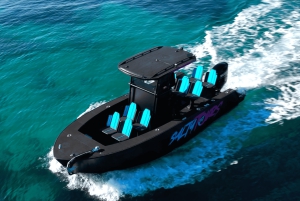 チャーターツアー：シュノーケリングとパドルサーフィン付きパルマ湾ボートツアー