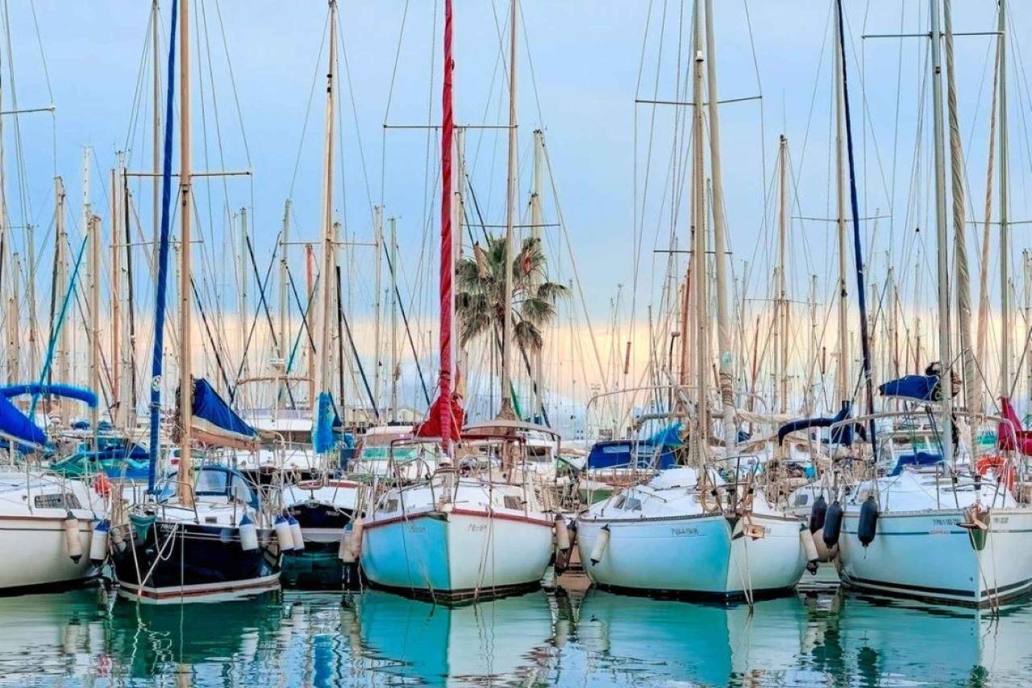 City Sightseeing Palma de Mallorca Rejs wycieczkowy statkiem