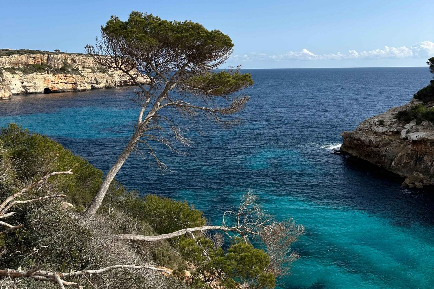 Cala Figuera: Excursión costera fácil
