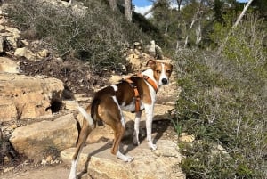 Cala Figuera: Łatwa wycieczka wzdłuż wybrzeża