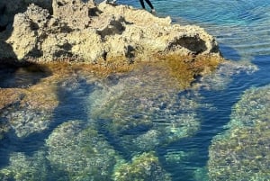 COASTEERING