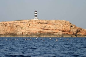 Colonia Sant Jordi: Bådtur rundt i Cabrera-øgruppen