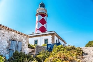 Colonia Sant Jordi: passeio de barco pelo arquipélago Cabrera