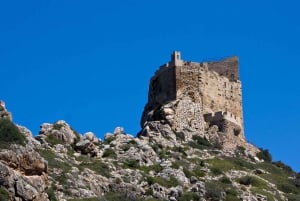 Colonia Sant Jordi: Premium & hurtig bådtur rundt om Cabrera